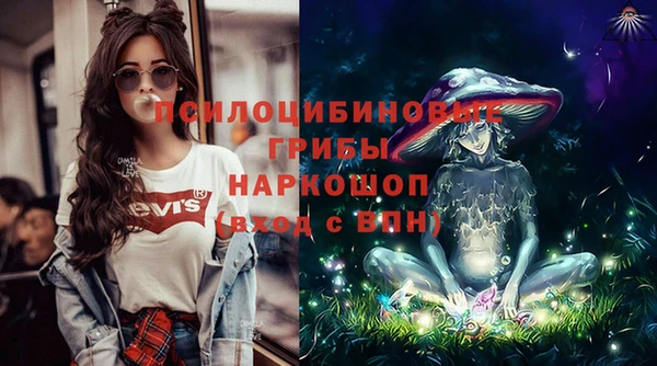 МДПВ Абинск